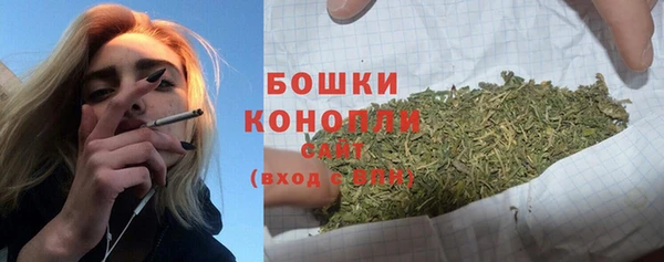 стаф Каменск-Шахтинский