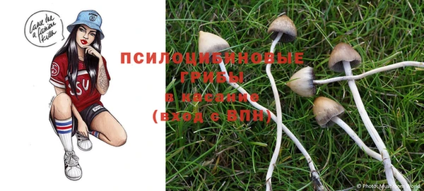 метамфетамин Каменка