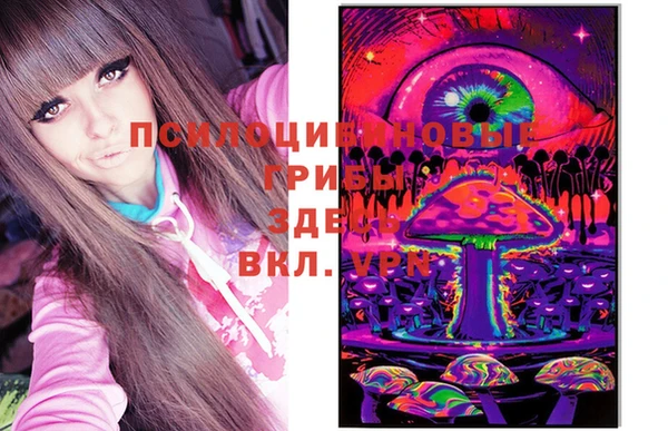 метамфетамин Каменка