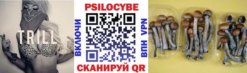 Псилоцибиновые грибы GOLDEN TEACHER  Купить где  Вязьма 